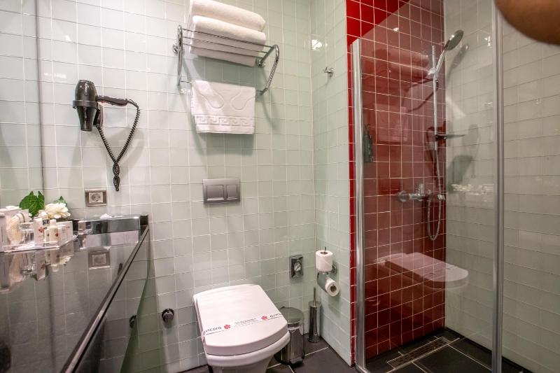 Business Queen Room - Smoking image 3