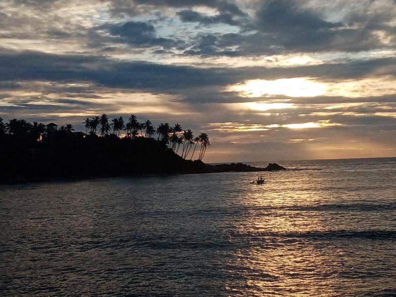 Surf Paradise 2 - image 30