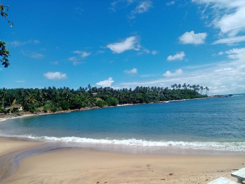 Surf Paradise 2 - image 12