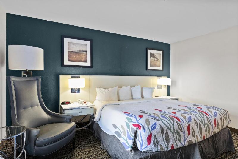 King Room - Disability Access image 3