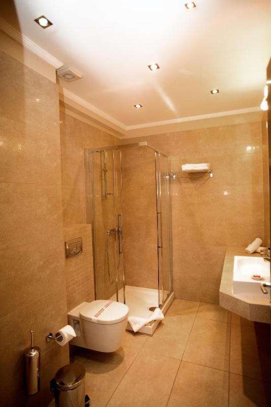 Deluxe Suite with Lake View image 2
