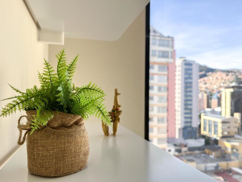 Warm Bright & Cozy Apartment in the best area of La Paz! - image 6