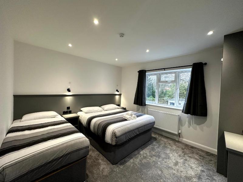 Deluxe King Room image 2