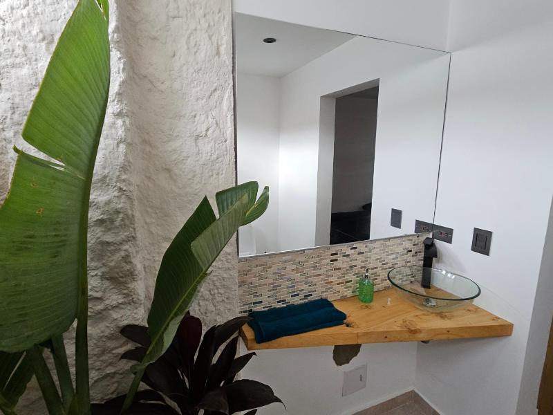 Casa Alba - image 3
