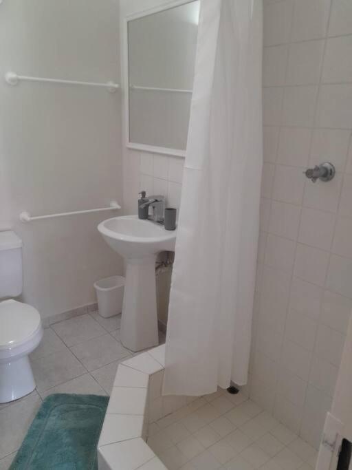 Apt 1 Lynsted - Newly renovated 2 bed 1 bath - image 14