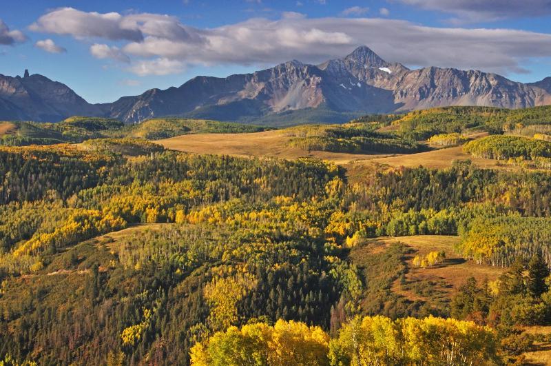A Genuine Telluride Treasure - image 8