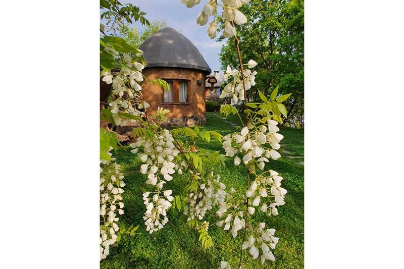 Villa with Garden View image 1