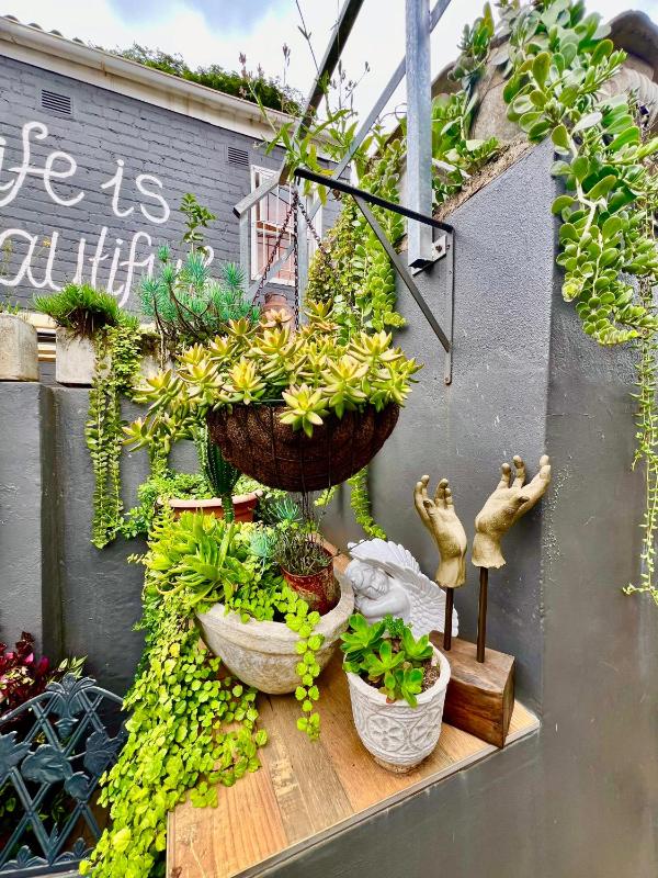 Terebinte Bed & Breakfast - Durban - image 16
