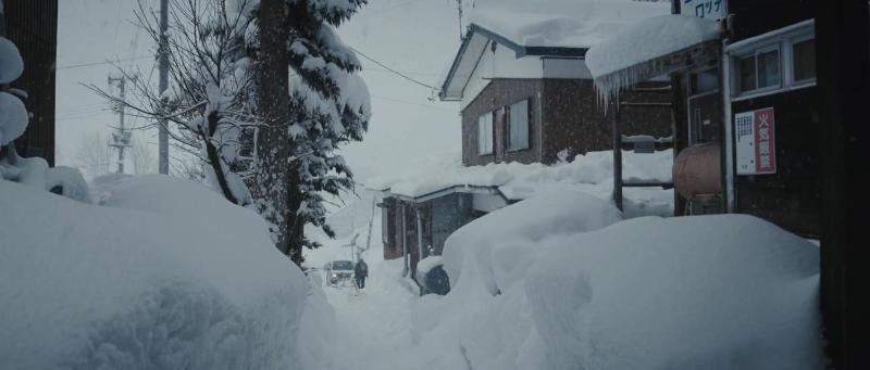 The Greenhouse - image 29