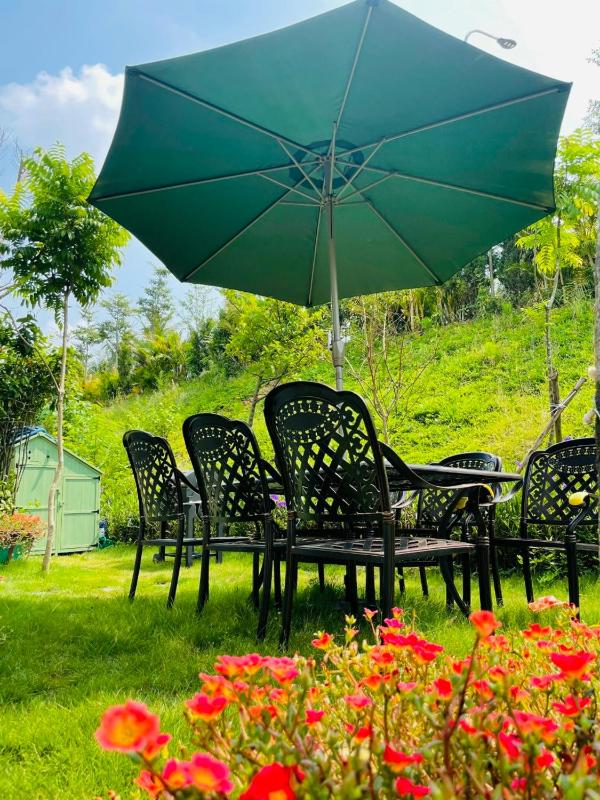 The Mango Villa - Venus- Flamigo Dai Lai E3-7 - image 18