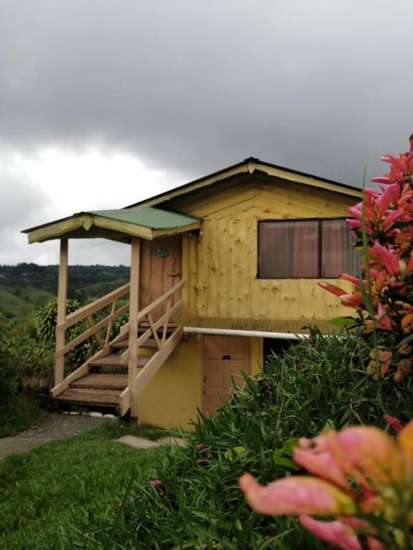 Hotel Cotobruseño - image 6