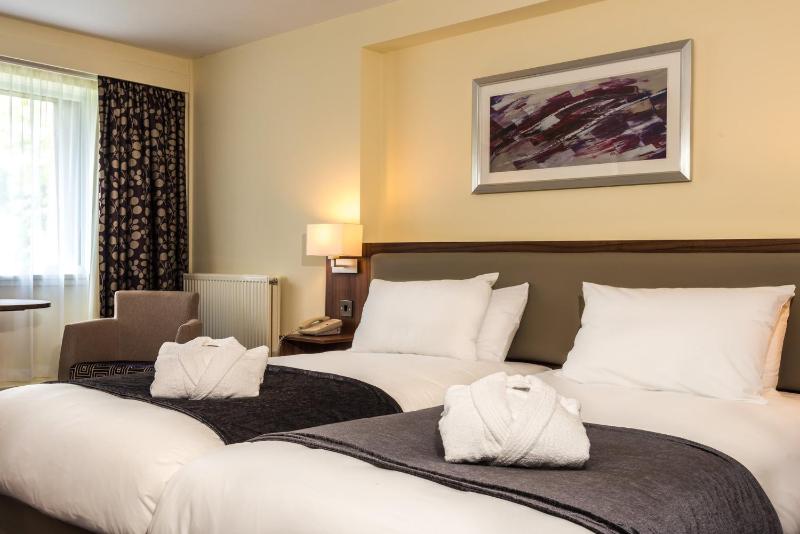 Premium Twin Room image 3