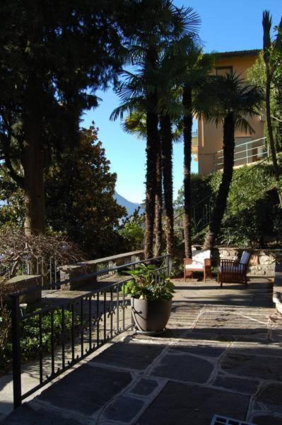 Giardino Violetta - image 8