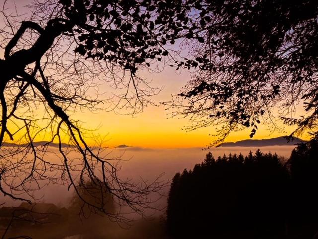 Standard Double Room with Shared Bathroom image 4