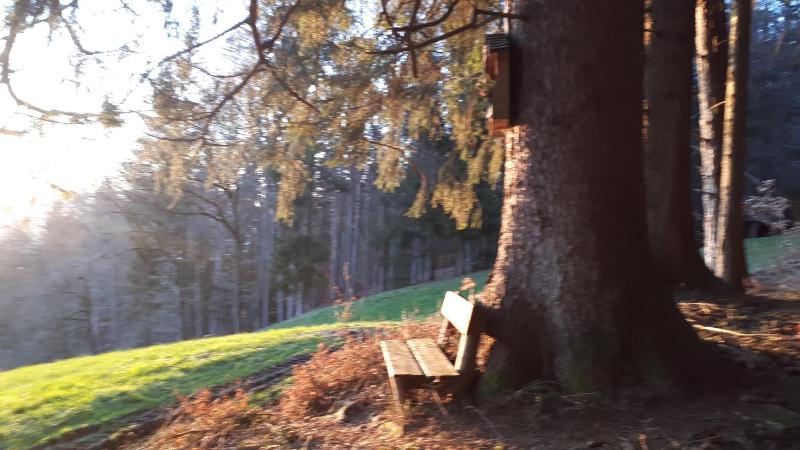 Double Room with Lake View image 2