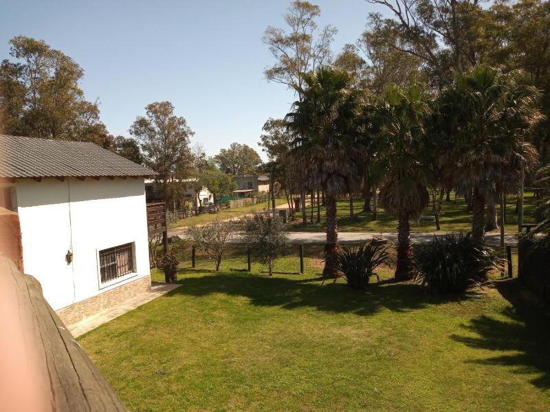 El Olivar - image 19