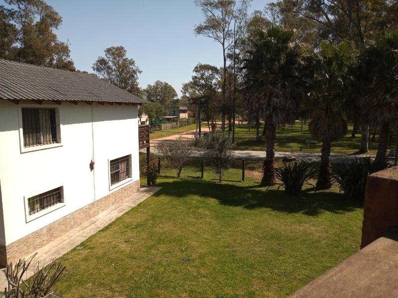 El Olivar - image 8