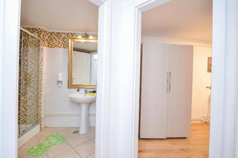Central Unirii - Old Town Apartments - image 3