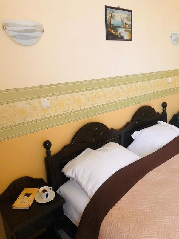 Double or Twin Room image 4