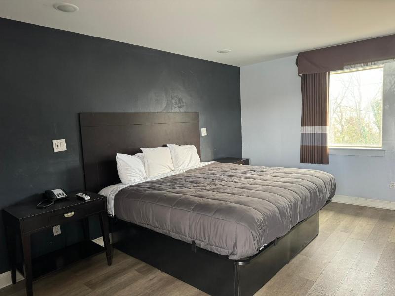 King Room image 1