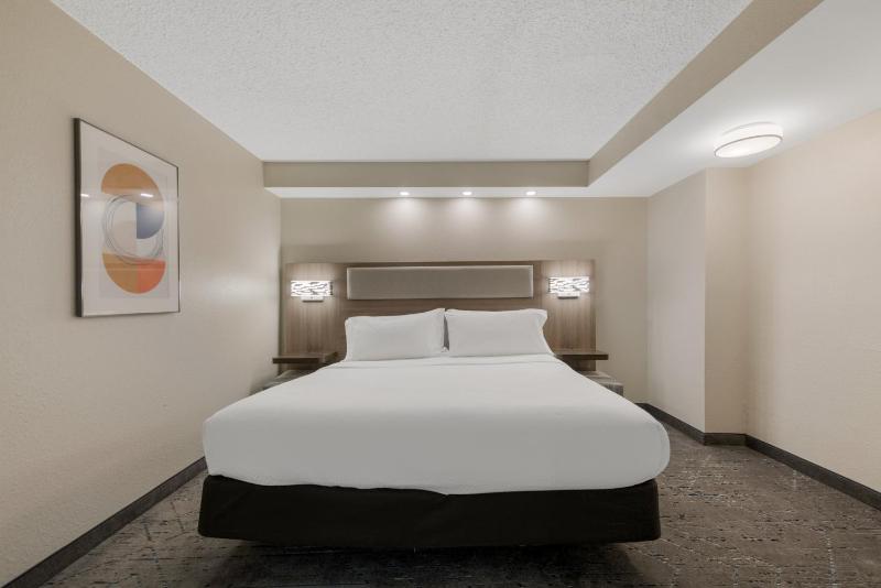 One-Bedroom King Suite image 3