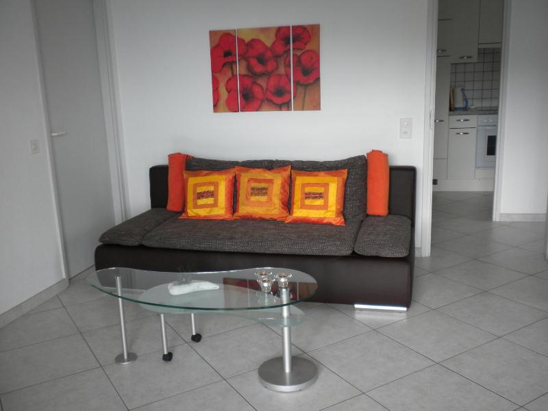One-Bedroom Apartment image 4