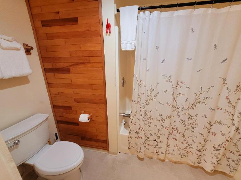  Skyline Suite (NO Pets, NO Breakfast, Full Kitchen) image 4