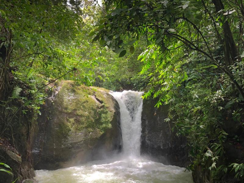 Rio Tico Safari Lodge - image 2