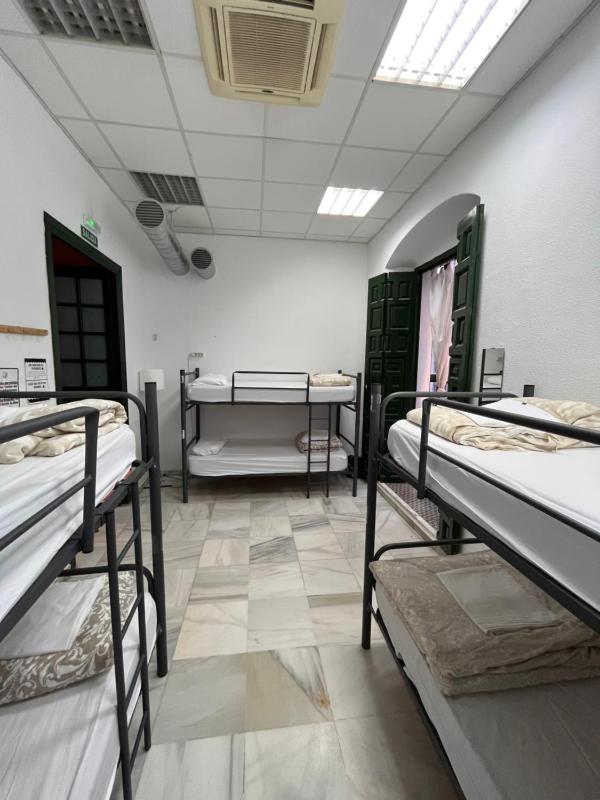 Bed in 6-Bed Female Dormitory Room image 4