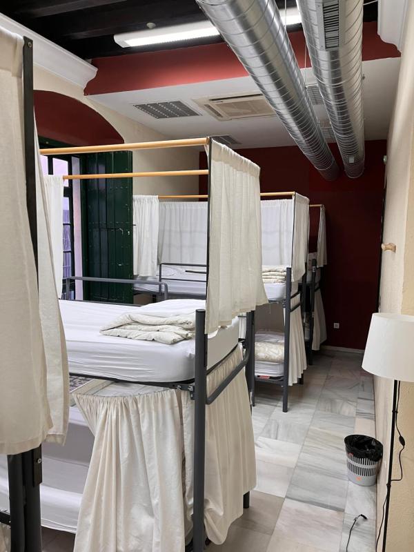Bed in 8-Bed Mixed Dormitory Room image 1