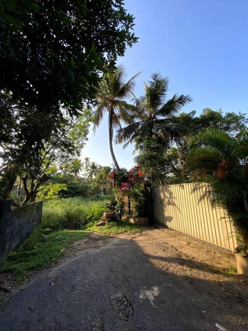 Kaaya Villa @ Thalawathugoda - image 8