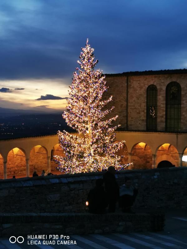 APPARTAMENTO LA FONTANA DI ASSISI - image 8