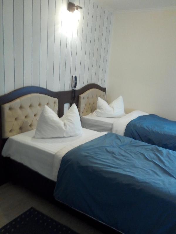 Standard Twin Room image 4