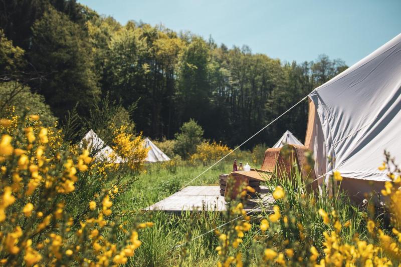 Tipi Zen and Swim image 4