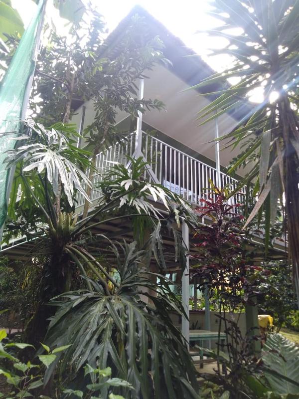 Hospedaje Rio Celeste Katira Habitación privada - image 2