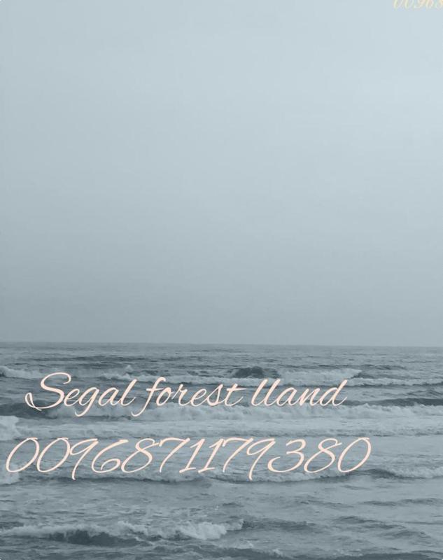 Segal Salalah-Forest Island-Hawana - image 24