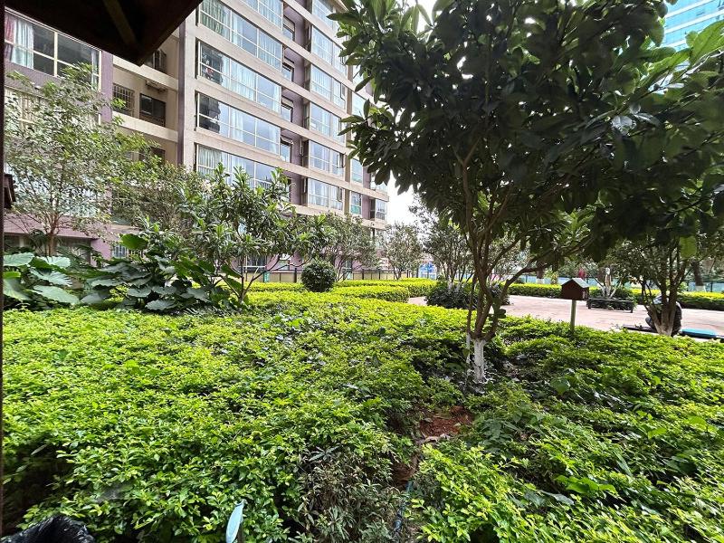 Annie Apart ment 2602-only 150 meters from Metro Line 2 Exit of Chuanxingulou - image 22