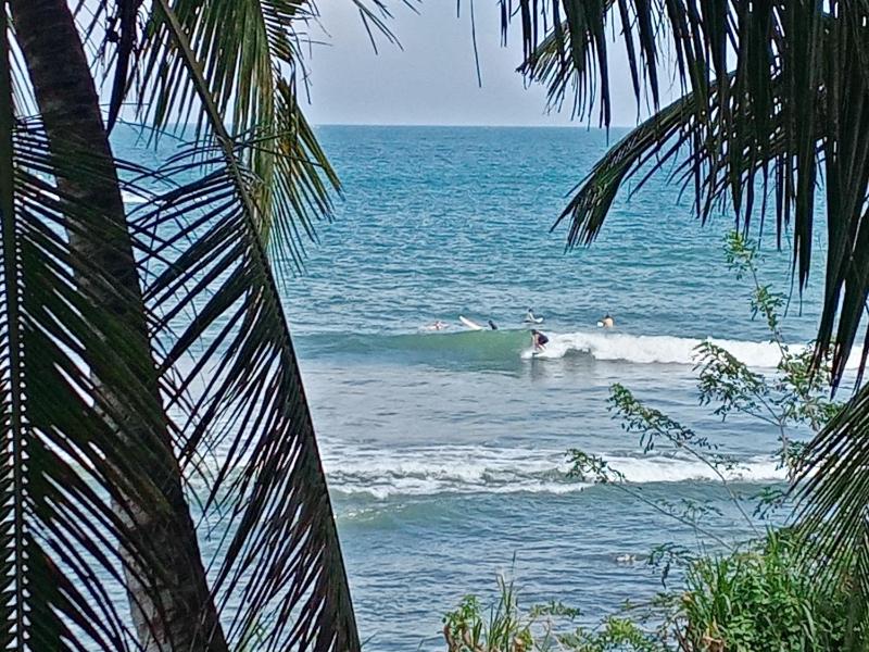 Surf Paradise 2 - image 14