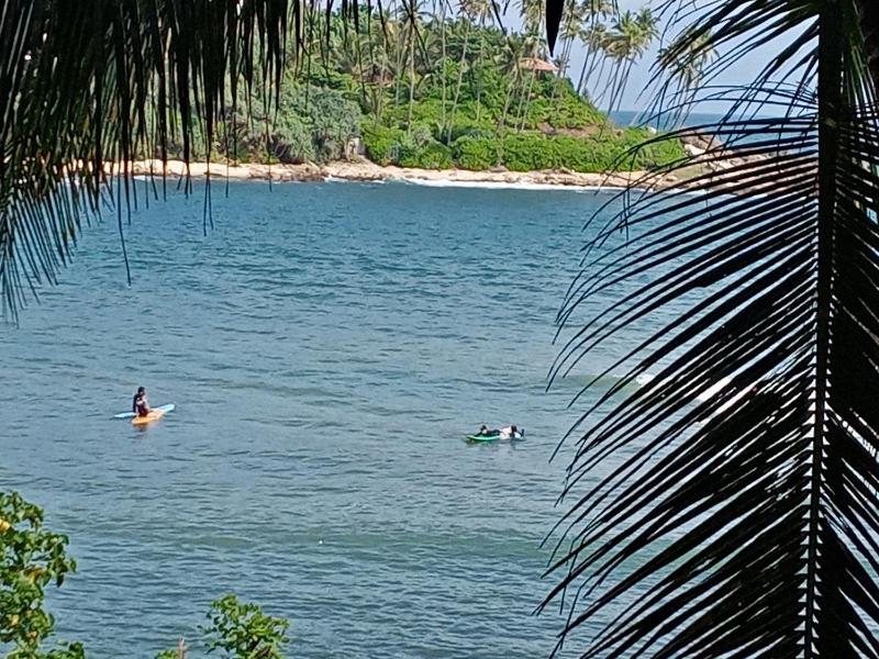 Surf Paradise 2 - image 44