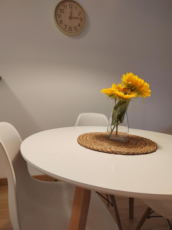 One-Bedroom Apartment image 4