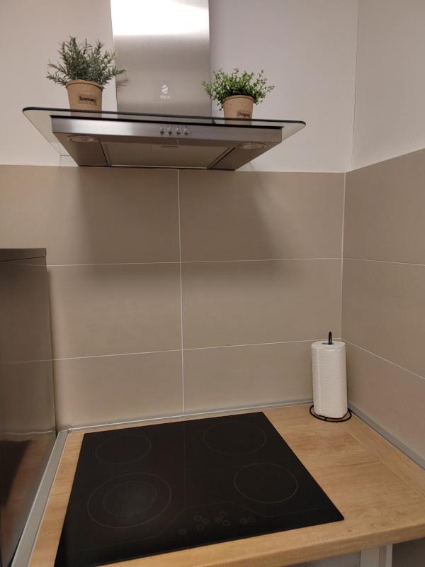 One-Bedroom Apartment image 3