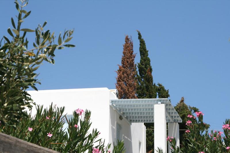 Villas Georgy - image 30