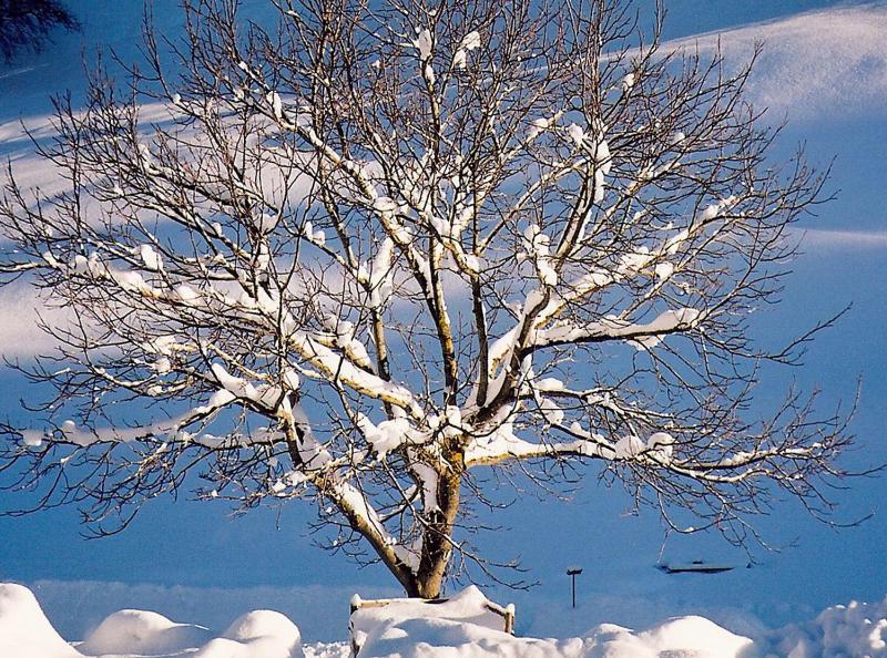 Double Room with Shared Bathroom image 4