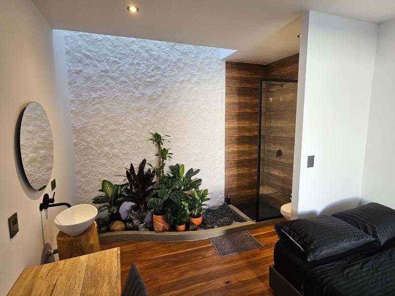 Casa Alba - image 15
