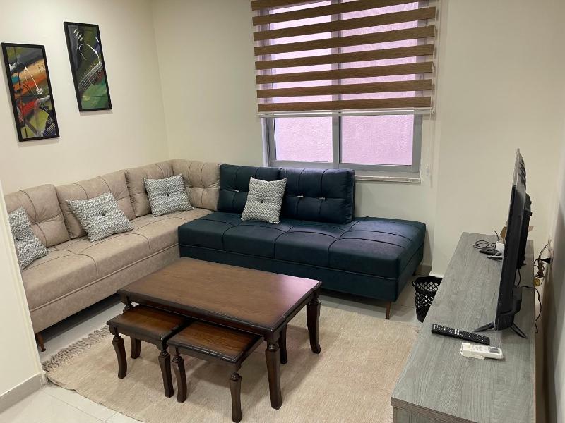 One-Bedroom Apartment image 2