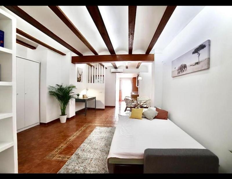 Apartamento con Terraza cerca de la Estación del Nord - image 6