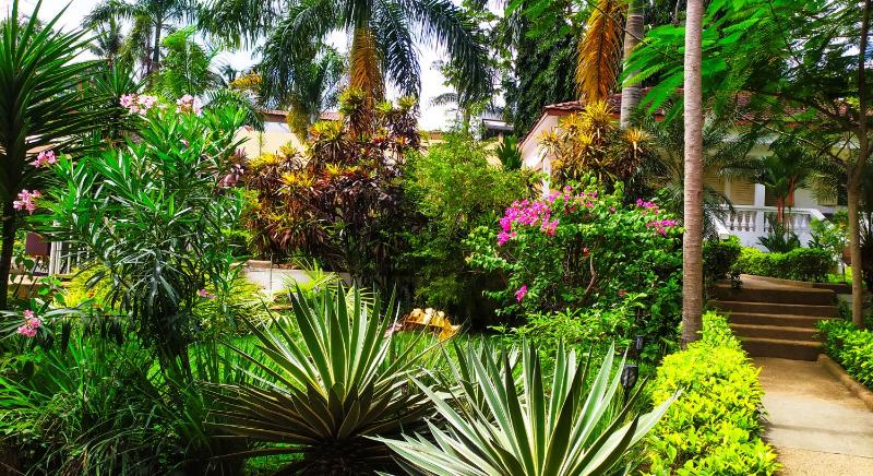 Villa Oasis Abidjan - image 10