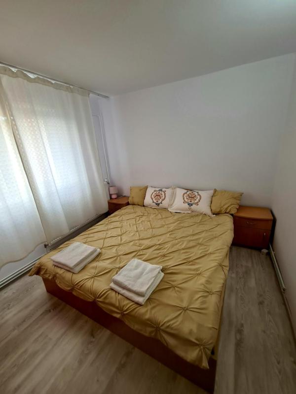 Apartament 2 camere Brazda lui Novac - image 11