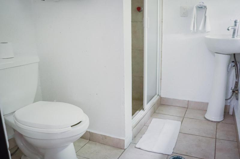 Hostal Cuija Coyoacan Berlin 268 Coyoacan - image 14