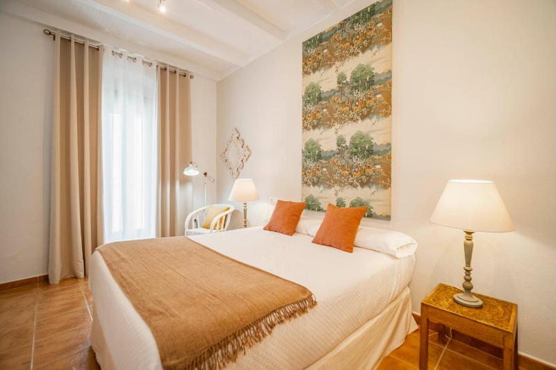 Duplex Apartment with private terrace and views image 1